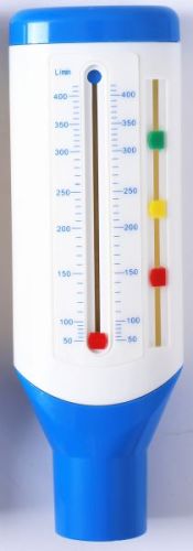 piekstroommeter kind
